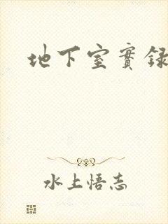 地下室实录封面