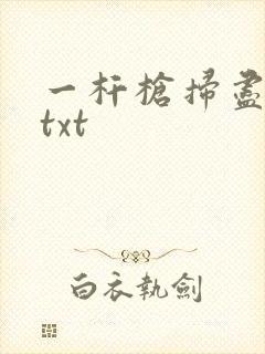 一杆枪扫尽全家txt封面