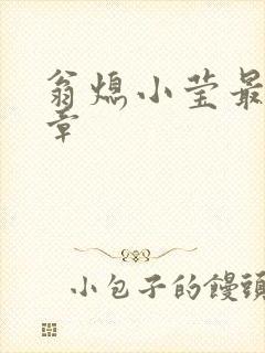 翁熄小莹最新节章