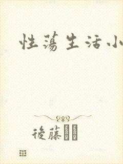 性荡生活小说封面