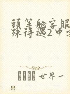 头等舱客服的特殊待遇2中字