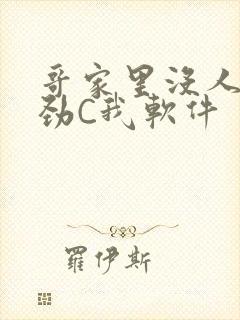 哥家里没人使点劲C我软件