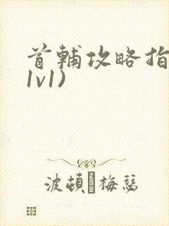 首辅攻略指南(1v1)