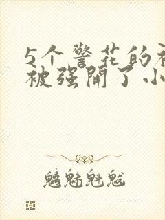 5个警花的初苞被强开了小说封面