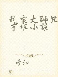 我家大师兄脑子有坑小说封面