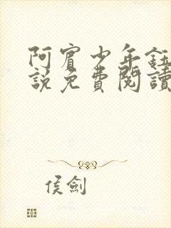 阿宾少年钰慧小说免费阅读笔趣阁