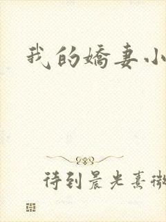 我的娇妻小说