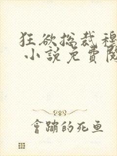 狂欲总裁穆非雪 小说免费阅读