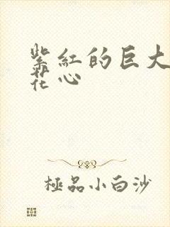 紫红的巨大顶开花心