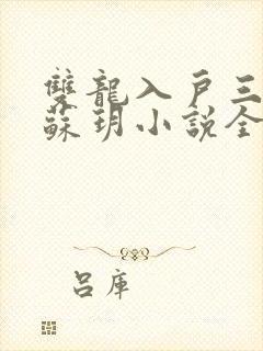 双龙入户三人行苏玥小说全文阅读