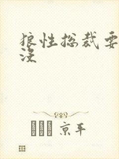 狼性总裁要够了没