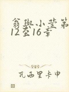 翁与小莹第十部12至16章