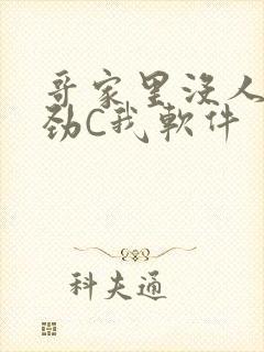 哥家里没人使点劲C我软件