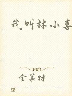 我叫林小喜17封面