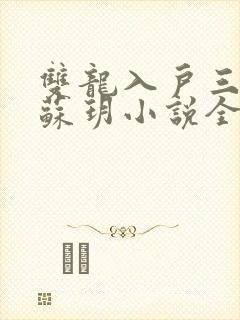 双龙入户三人行苏玥小说全文阅读