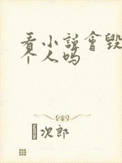 看小说会毁掉一个人吗封面