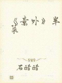 《意外》半截白菜封面