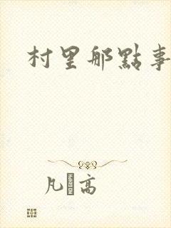 村里那点事儿封面