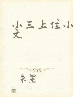 小三上位小说全文