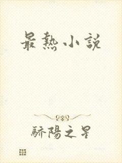 最热小说封面
