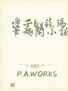 傻子by苏玛丽笔趣阁小说封面