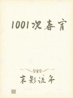 1001次春宵封面