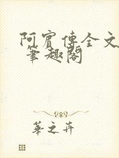 阿宾传全文阅读 笔趣阁