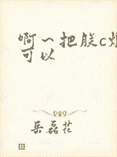 啊～把朕c烂都可以封面