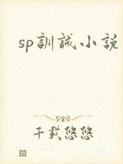sp训诫小说封面