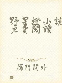 野星灯小说全文免费阅读