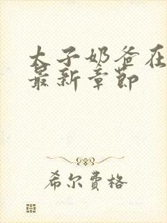 太子奶爸在花都最新章节封面