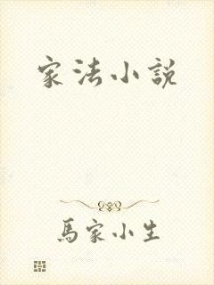 家法小说