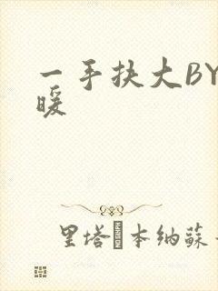 一手扶大BY泱暖封面