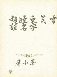 赵晓东吴雪晴小说名字