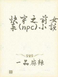 快穿之前女友归来(npc)小说免费阅读封面