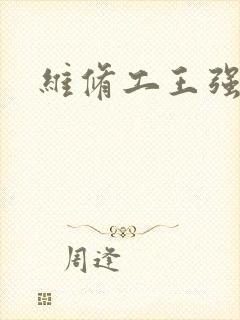 维修工王强张婷封面