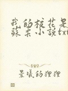 我的校花是福姬苏柔小说txt