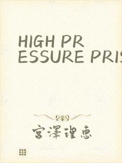 HIGH PRESSURE PRISON封面
