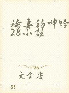娇妻的呻吟1—28小说