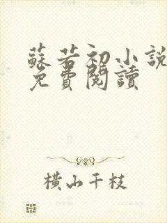 苏若初小说全文免费阅读