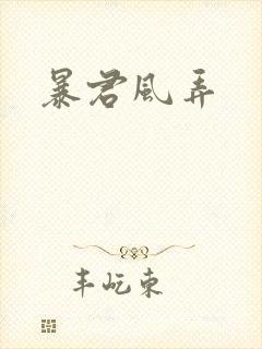 暴君风弄封面