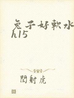 兔子好软水好多h15