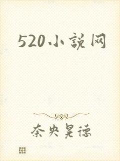 520小说网
