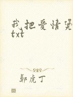 我把爱情煲成汤txt