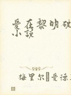 爱在黎明破晓前小说
