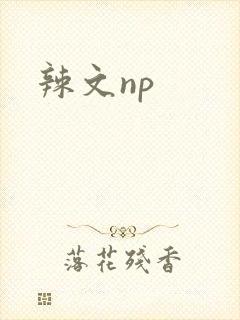 辣文np