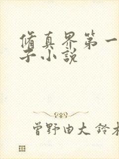 修真界第一病秧子小说