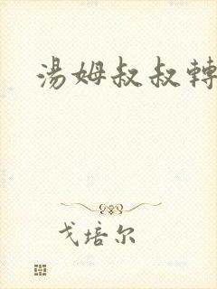 汤姆叔叔转接口封面