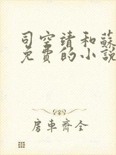 司空靖和苏月汐免费的小说笔趣阁