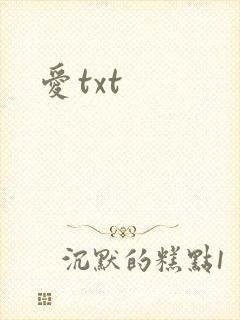 爱txt封面